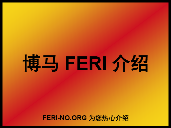 博马FERI跟踪单介绍