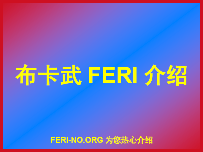 布卡武FERI跟踪单介绍