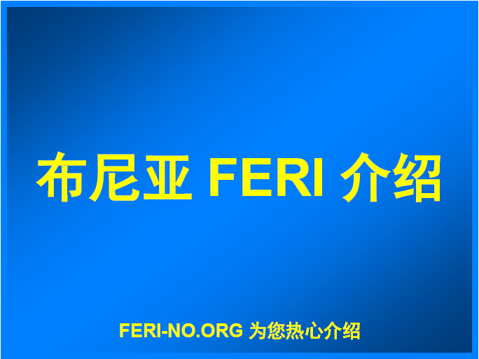 布尼亚FERI跟踪单介绍