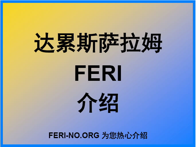 达累斯萨拉姆FERI NO介绍