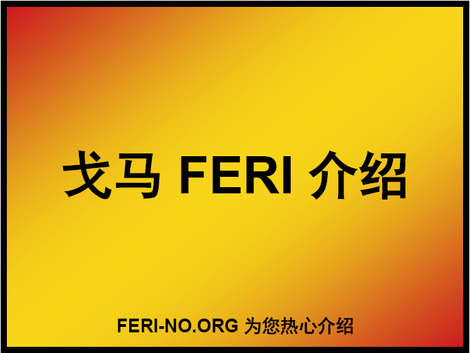 戈马FERI跟踪单介绍