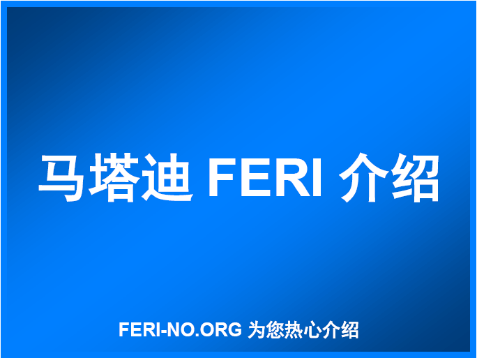 马塔迪FERI文件介绍