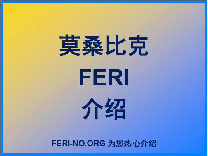 莫桑比克FERI跟踪单介绍