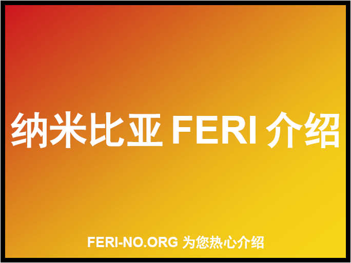 纳米比亚FERI跟踪单介绍